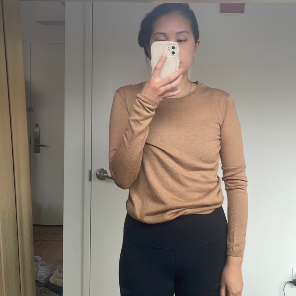 Zara Basic Knit Top in Camel